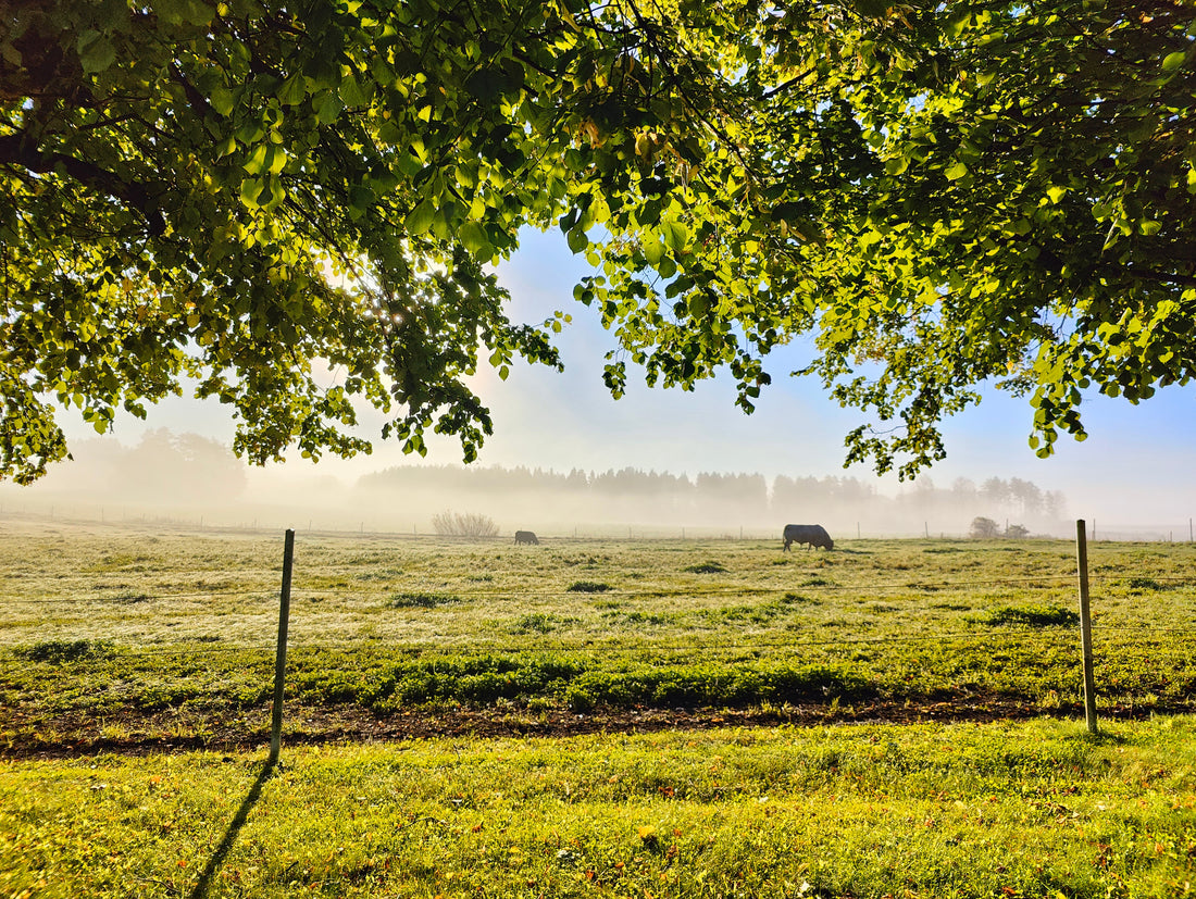 Myrskyn jälkeen - tarinani